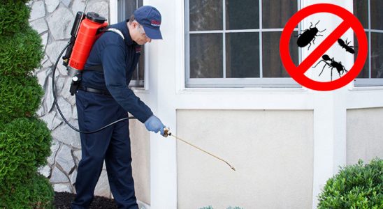 Baklan Akrep İlaçlama böcek ilaçlama ve haşere kontrolü — ilaclama-tr.com